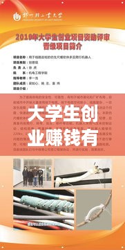 大学生创业赚钱有哪些好项目,大学生创业创意项目推荐