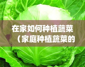 在家如何种植蔬菜（家庭种植蔬菜的经验分享）