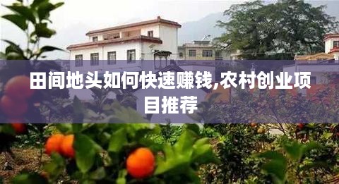 田间地头如何快速赚钱,农村创业项目推荐
