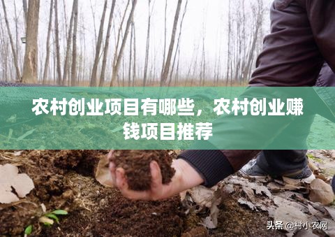 农村创业项目有哪些，农村创业赚钱项目推荐