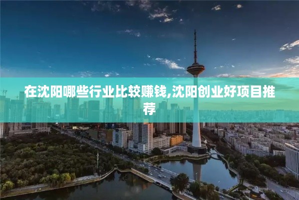 在沈阳哪些行业比较赚钱,沈阳创业好项目推荐