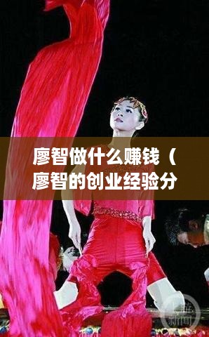 廖智做什么赚钱（廖智的创业经验分享）