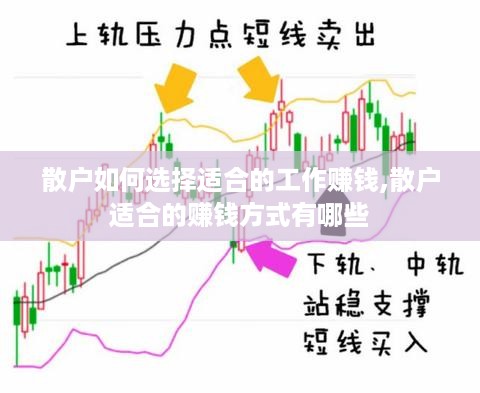 散户如何选择适合的工作赚钱,散户适合的赚钱方式有哪些