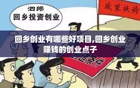 回乡创业有哪些好项目,回乡创业赚钱的创业点子
