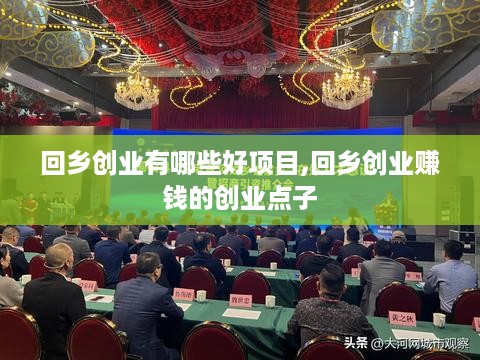 回乡创业有哪些好项目,回乡创业赚钱的创业点子
