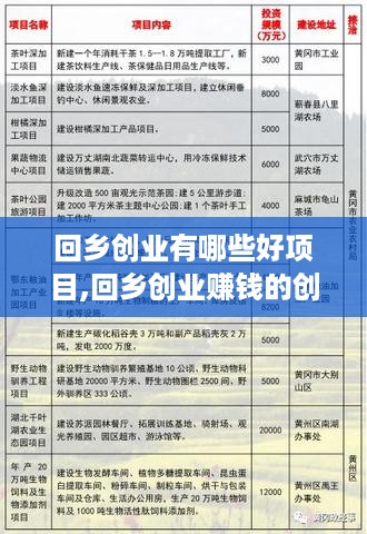 回乡创业有哪些好项目,回乡创业赚钱的创业点子