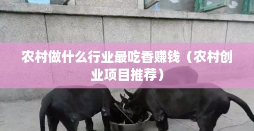 农村做什么行业最吃香赚钱（农村创业项目推荐）