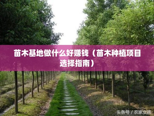 苗木基地做什么好赚钱（苗木种植项目选择指南）