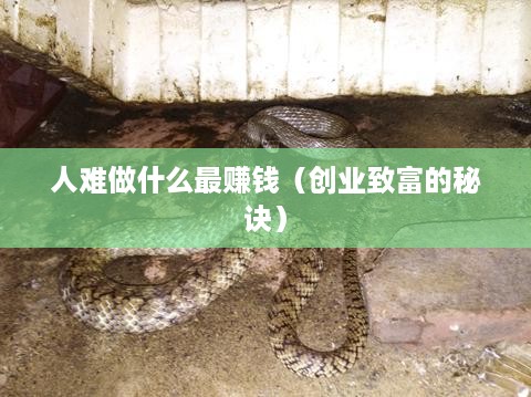 人难做什么最赚钱（创业致富的秘诀）