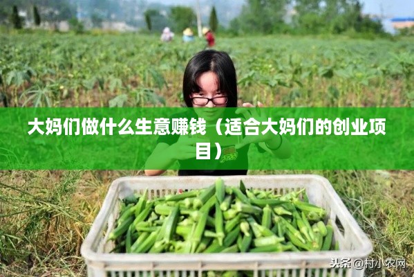 大妈们做什么生意赚钱（适合大妈们的创业项目）