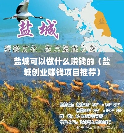盐城可以做什么赚钱的（盐城创业赚钱项目推荐）