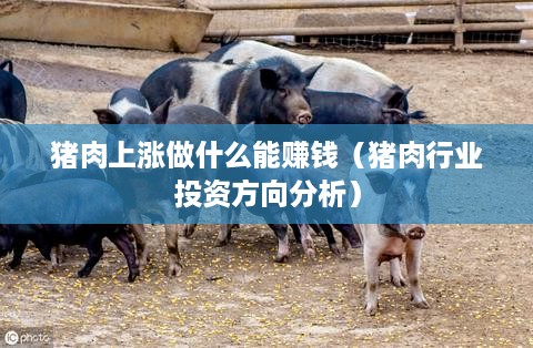 猪肉上涨做什么能赚钱（猪肉行业投资方向分析）