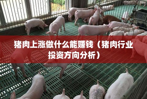 猪肉上涨做什么能赚钱（猪肉行业投资方向分析）