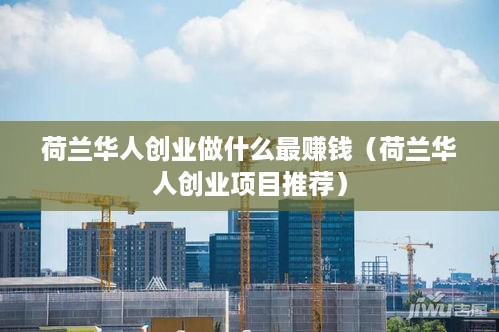 荷兰华人创业做什么最赚钱（荷兰华人创业项目推荐）
