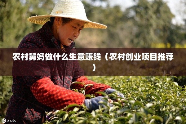 农村舅妈做什么生意赚钱（农村创业项目推荐）