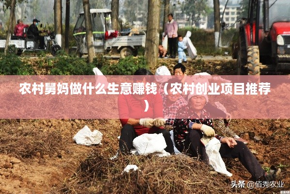 农村舅妈做什么生意赚钱（农村创业项目推荐）