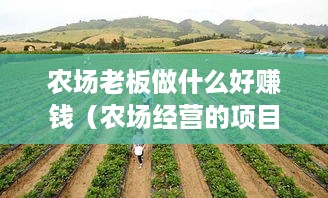 农场老板做什么好赚钱（农场经营的项目推荐）