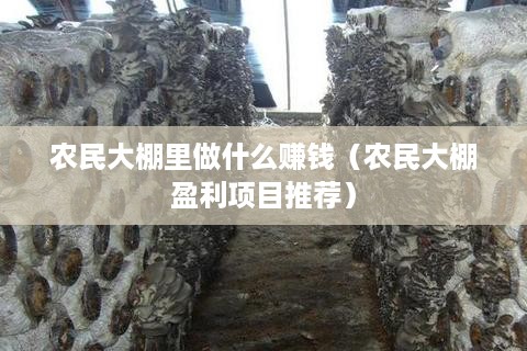 农民大棚里做什么赚钱（农民大棚盈利项目推荐）