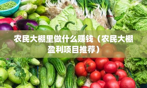 农民大棚里做什么赚钱（农民大棚盈利项目推荐）