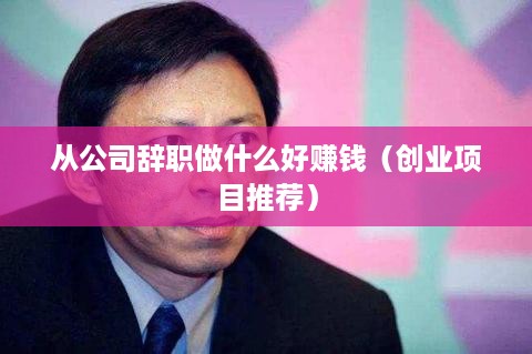 从公司辞职做什么好赚钱（创业项目推荐）