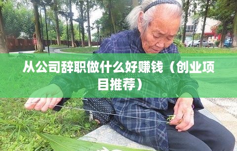 从公司辞职做什么好赚钱（创业项目推荐）