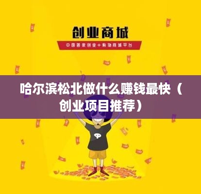 哈尔滨松北做什么赚钱最快（创业项目推荐）