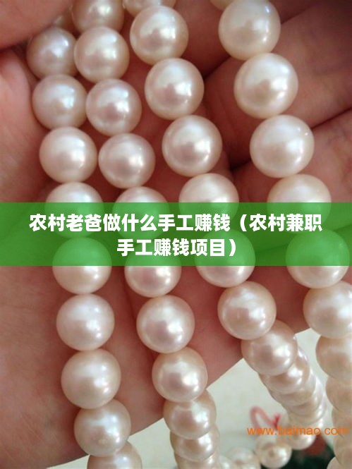 农村老爸做什么手工赚钱（农村兼职手工赚钱项目）