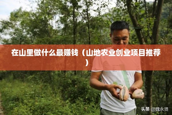 在山里做什么最赚钱（山地农业创业项目推荐）