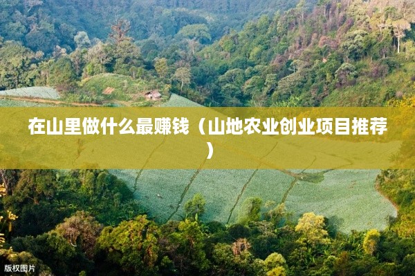 在山里做什么最赚钱（山地农业创业项目推荐）