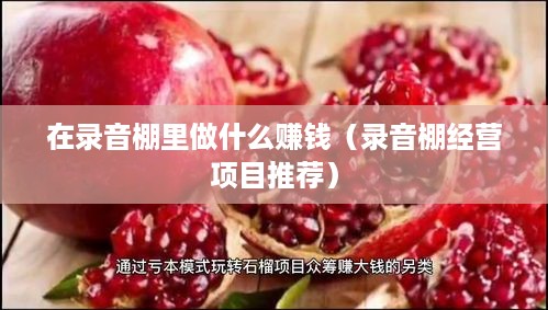 在录音棚里做什么赚钱（录音棚经营项目推荐）