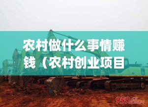 农村做什么事情赚钱（农村创业项目推荐）