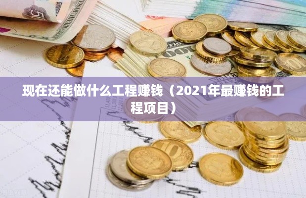 现在还能做什么工程赚钱（2021年最赚钱的工程项目）