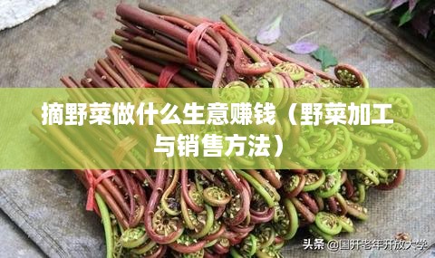 摘野菜做什么生意赚钱（野菜加工与销售方法）