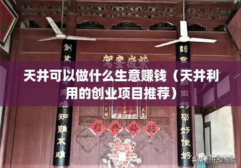 天井可以做什么生意赚钱（天井利用的创业项目推荐）