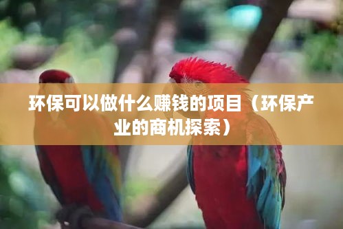 环保可以做什么赚钱的项目（环保产业的商机探索）