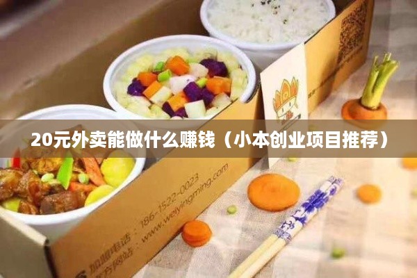 20元外卖能做什么赚钱（小本创业项目推荐）