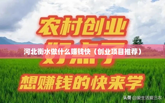 河北衡水做什么赚钱快（创业项目推荐）