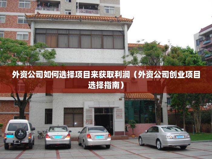 外资公司如何选择项目来获取利润（外资公司创业项目选择指南）
