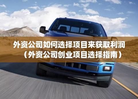 外资公司如何选择项目来获取利润（外资公司创业项目选择指南）