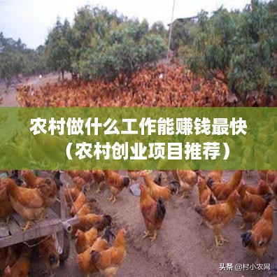 农村做什么工作能赚钱最快（农村创业项目推荐）