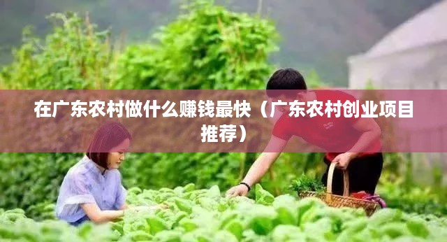 在广东农村做什么赚钱最快（广东农村创业项目推荐）