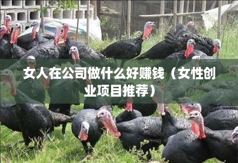 女人在公司做什么好赚钱（女性创业项目推荐）