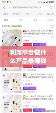 利用平台做什么产品最赚钱（平台经济下的创业指南）