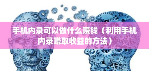 手机内录可以做什么赚钱（利用手机内录赚取收益的方法）