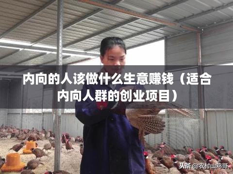 内向的人该做什么生意赚钱（适合内向人群的创业项目）
