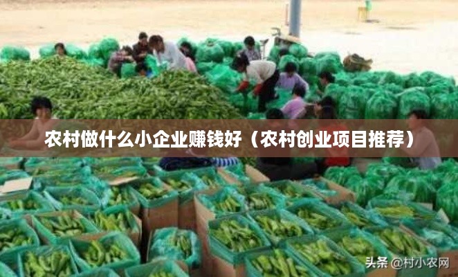 农村做什么小企业赚钱好（农村创业项目推荐）