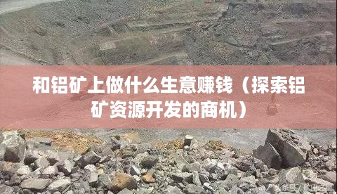 和铝矿上做什么生意赚钱（探索铝矿资源开发的商机）