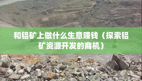 和铝矿上做什么生意赚钱（探索铝矿资源开发的商机）