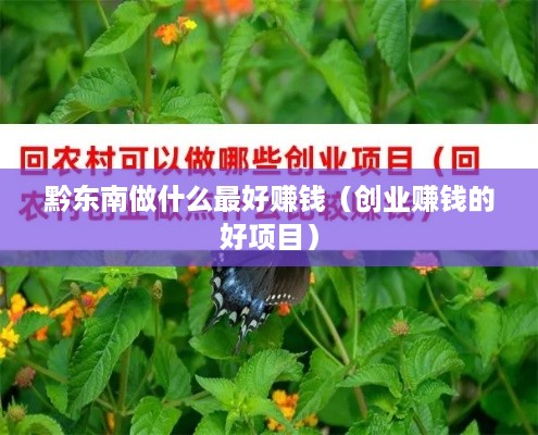 黔东南做什么最好赚钱（创业赚钱的好项目）