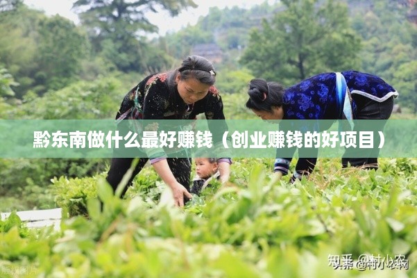 黔东南做什么最好赚钱（创业赚钱的好项目）